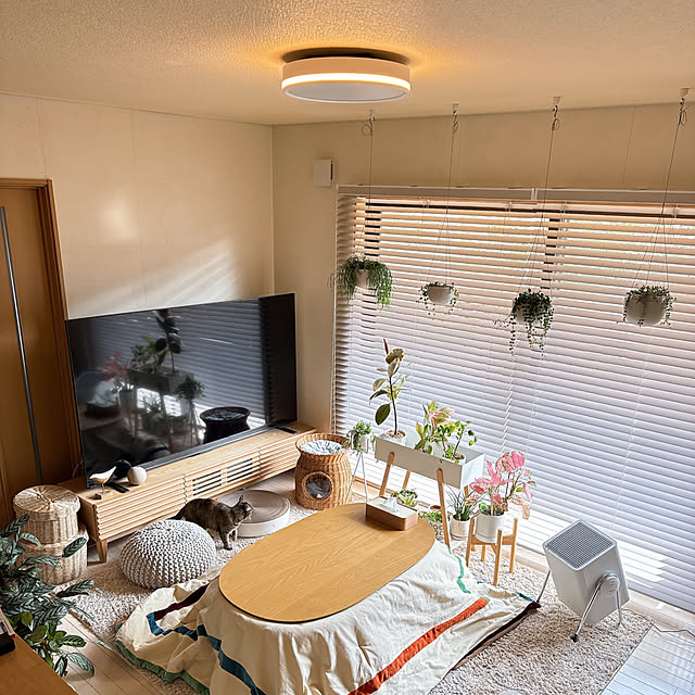 chinaさんの実例写真