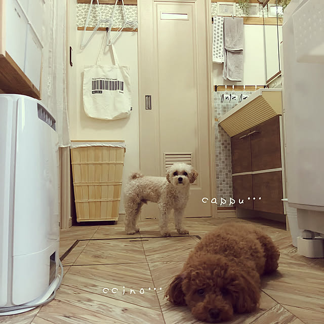 nikoさんの実例写真