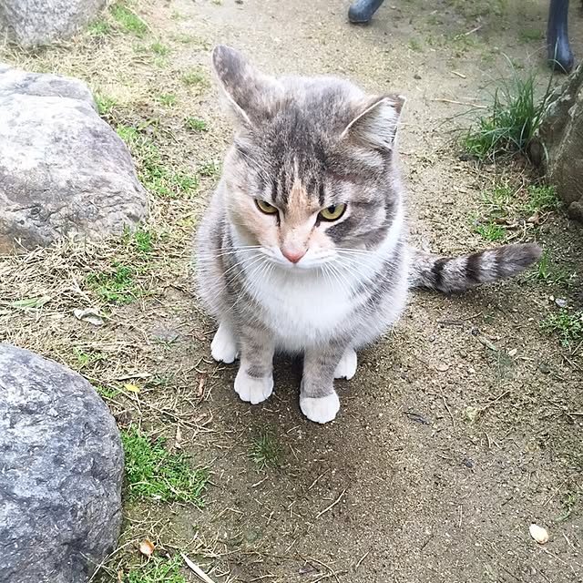 moririnさんの実例写真
