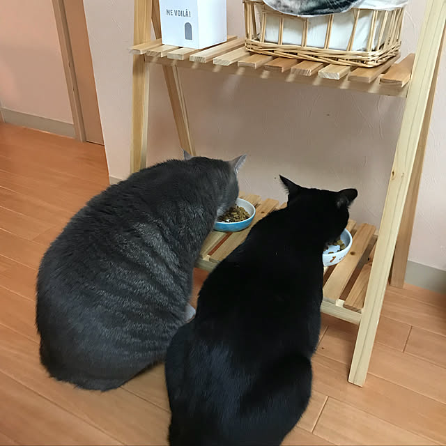 Machikoさんの実例写真