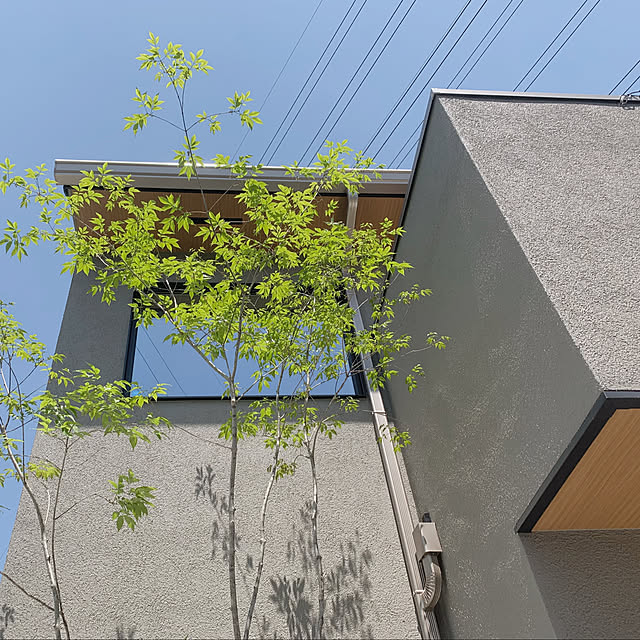 nanasoさんの部屋