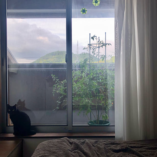 mutsuさんの実例写真