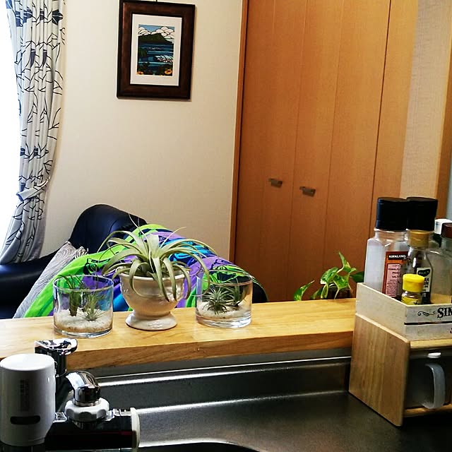 Rchanさんの実例写真