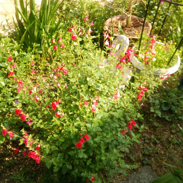 Tomopさんの実例写真