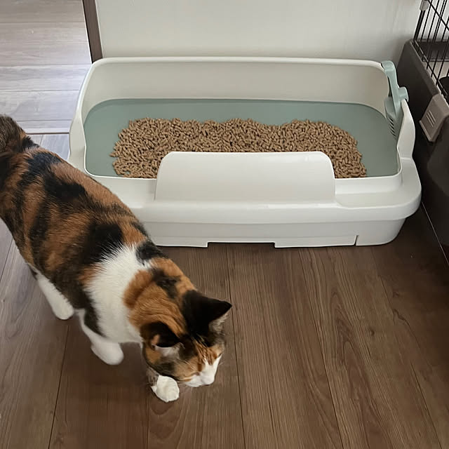 Misakiさんの部屋