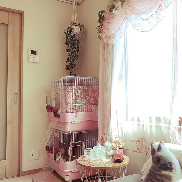 Maiさんの実例写真