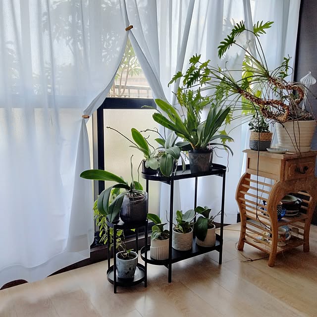 reko639さんの部屋