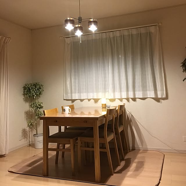 部屋全体/観葉植物のインテリア実例 - 2017-02-24 23:43:45