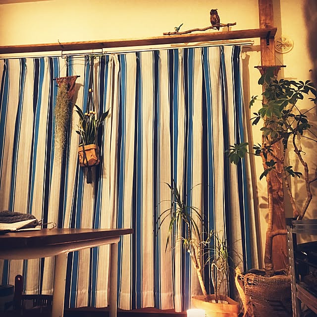 sueさんの実例写真