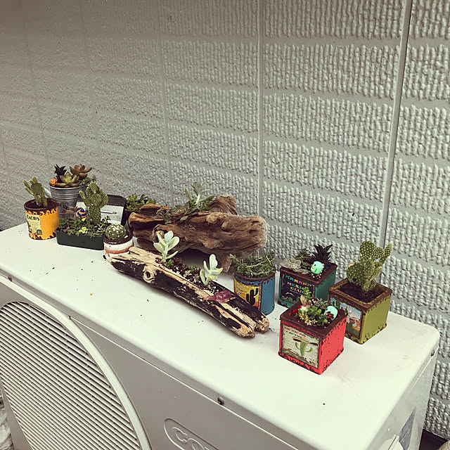 玄関/入り口/100均/観葉植物/ダイソー/セリア...などのインテリア実例 - 2018-11-18 23:50:23