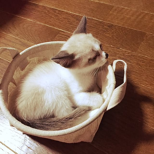 vivienne.coco-keiさんの実例写真