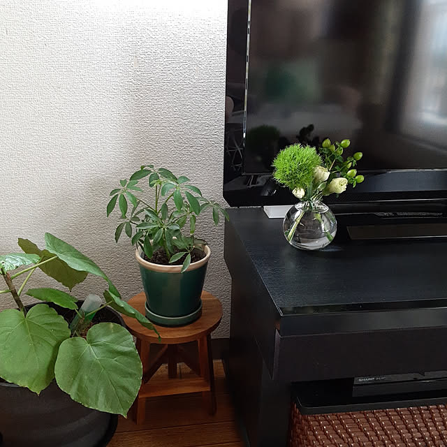 ririeeさんの実例写真