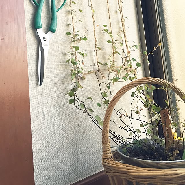 utahouseさんの実例写真