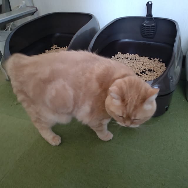 mntcさんの部屋