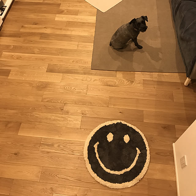 Haruさんの実例写真