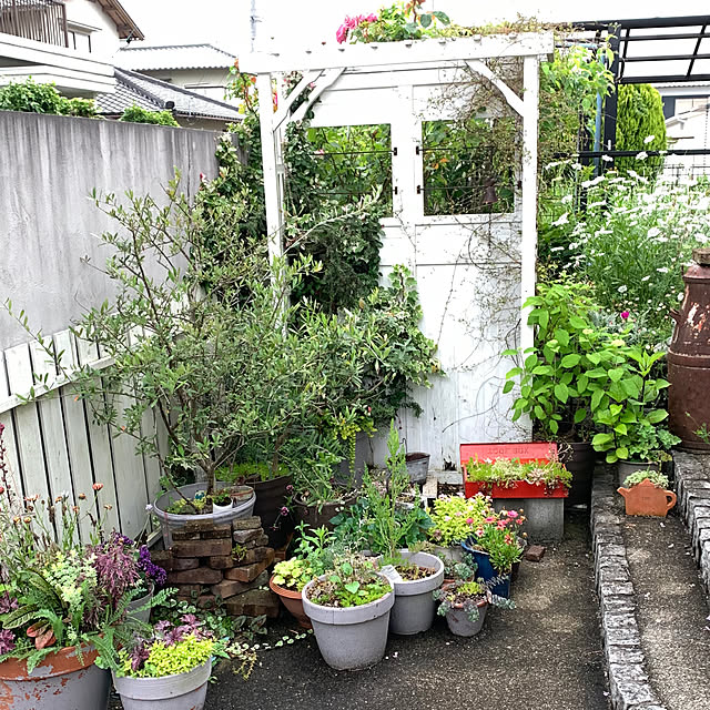 nomnom888さんの実例写真
