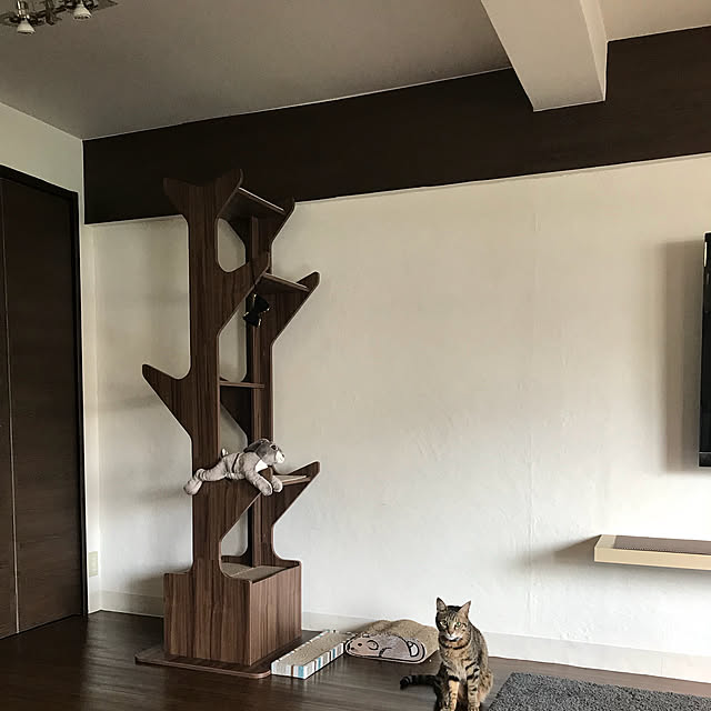 momoさんの実例写真