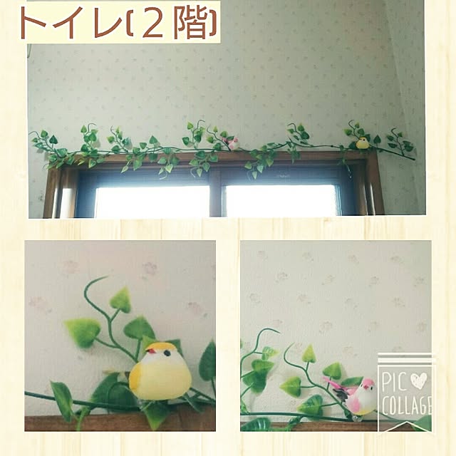 Mizubasyoさんの実例写真