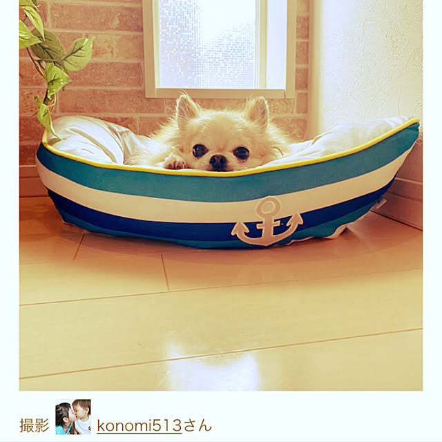 konomi513さんの実例写真