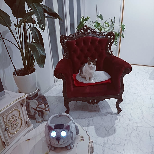 machikomamaさんの実例写真