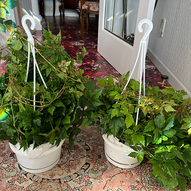 AYUKOさんの部屋