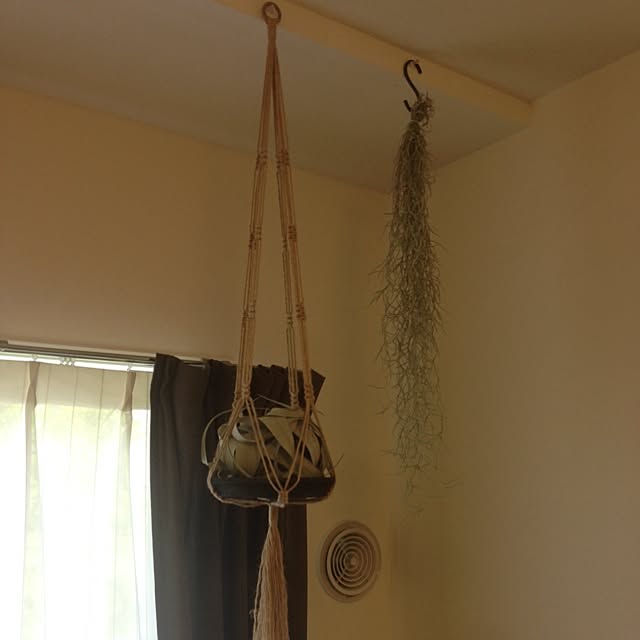 kottonさんの実例写真