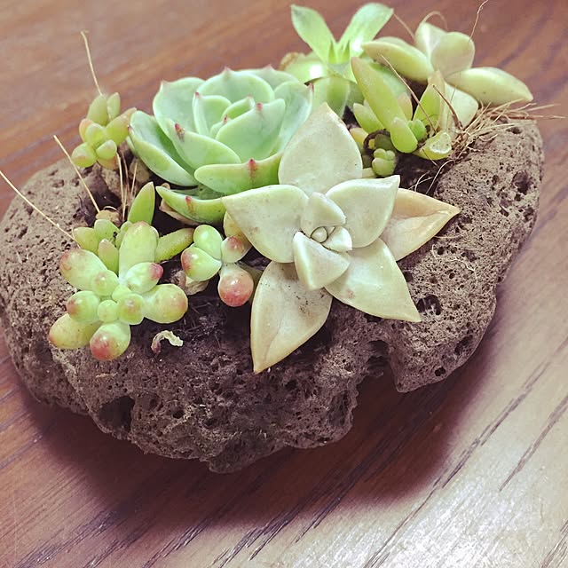 1-chanさんの実例写真