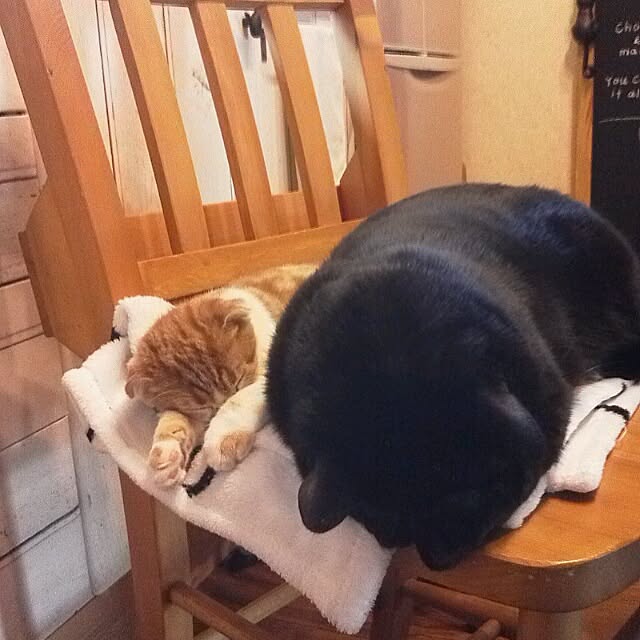 mikiさんの実例写真