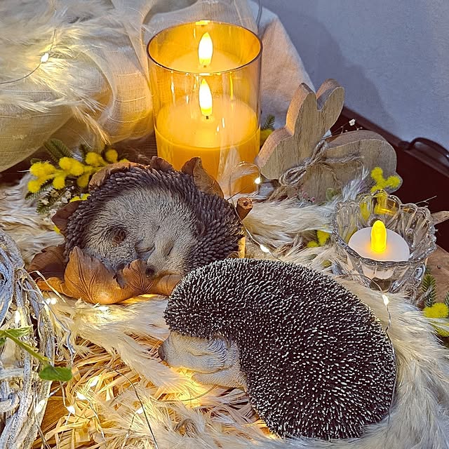 mocomocoさんの部屋