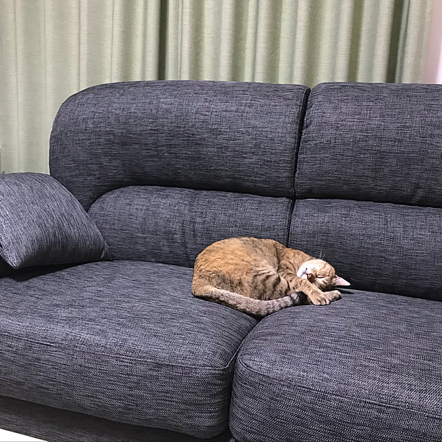 minakodeenさんの実例写真