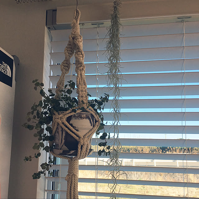 冷蔵庫/雑貨/観葉植物/部屋全体のインテリア実例 - 2021-01-18 20:59:01