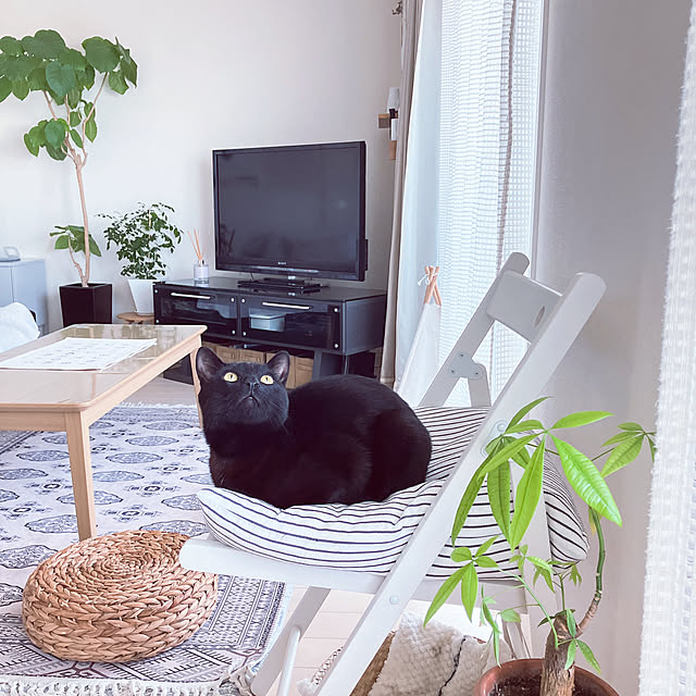 nekomiさんの部屋