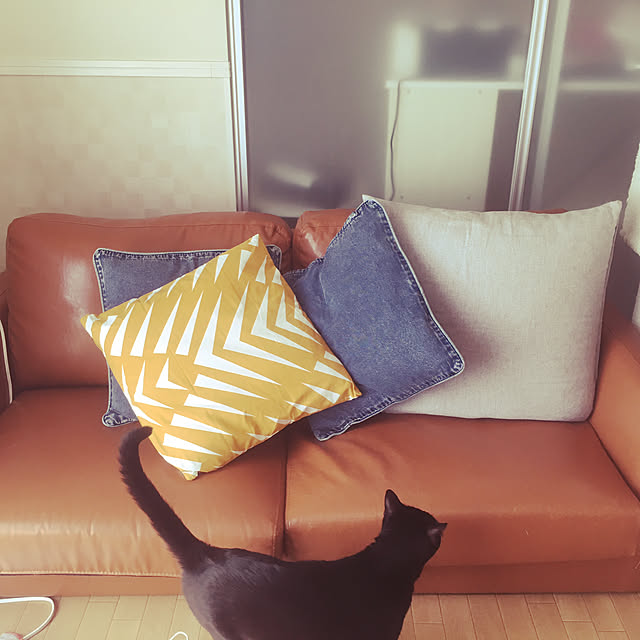 Tomomiさんの実例写真