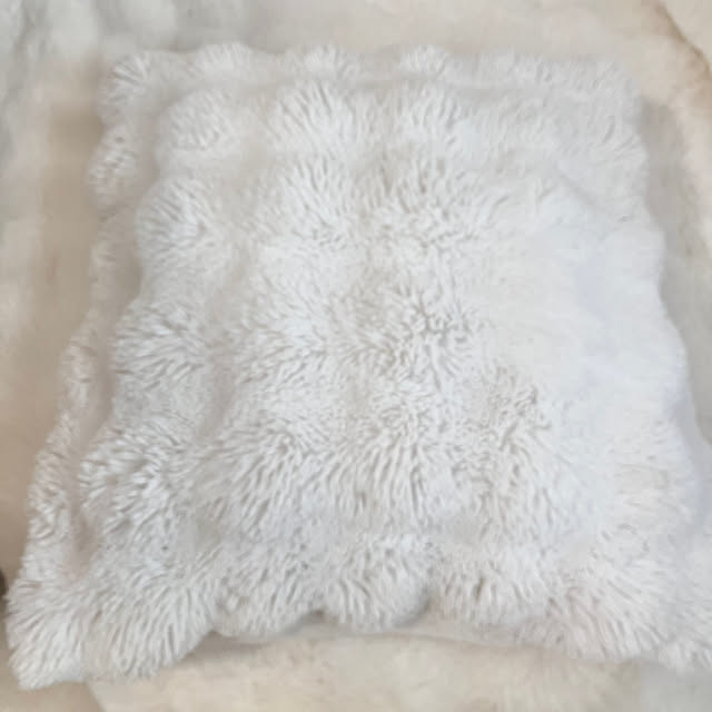 samanthakitchenさんの部屋