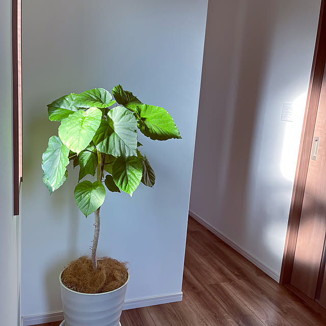 seiさんの部屋