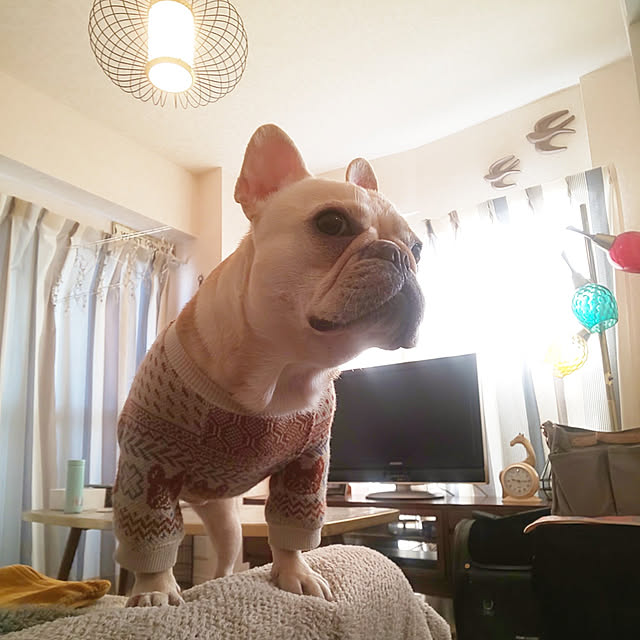 miki_kuma_koさんの部屋