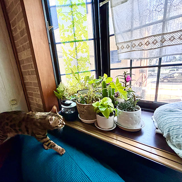 tututu0204さんの部屋