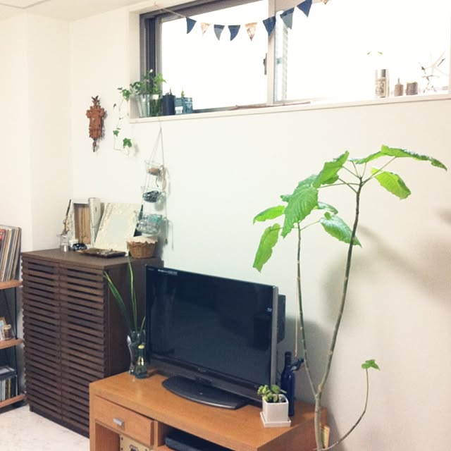 pさんの実例写真