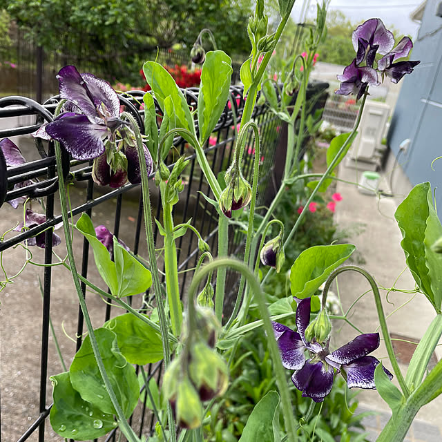 natsumiさんの部屋