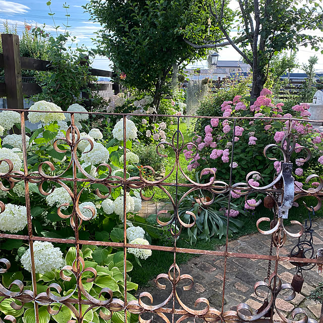 misacoさんの部屋