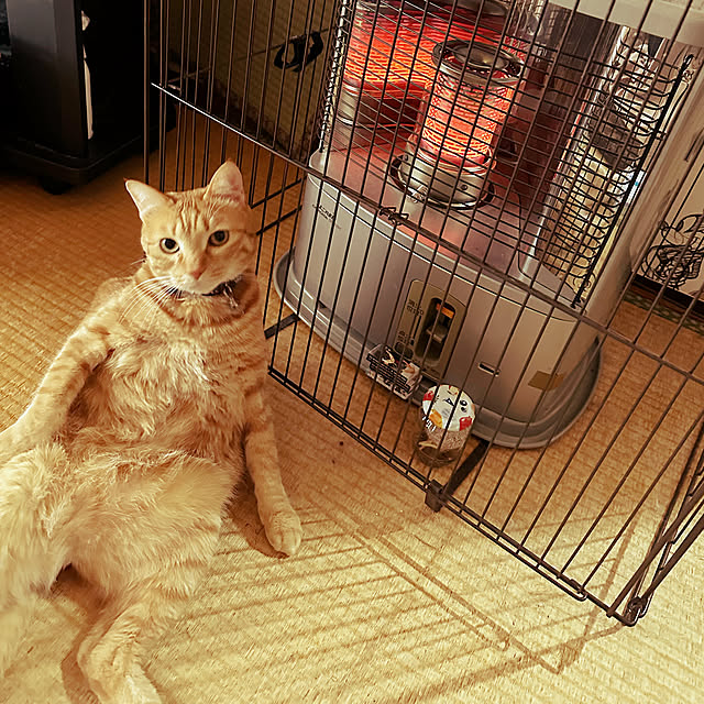 mugiさんの実例写真