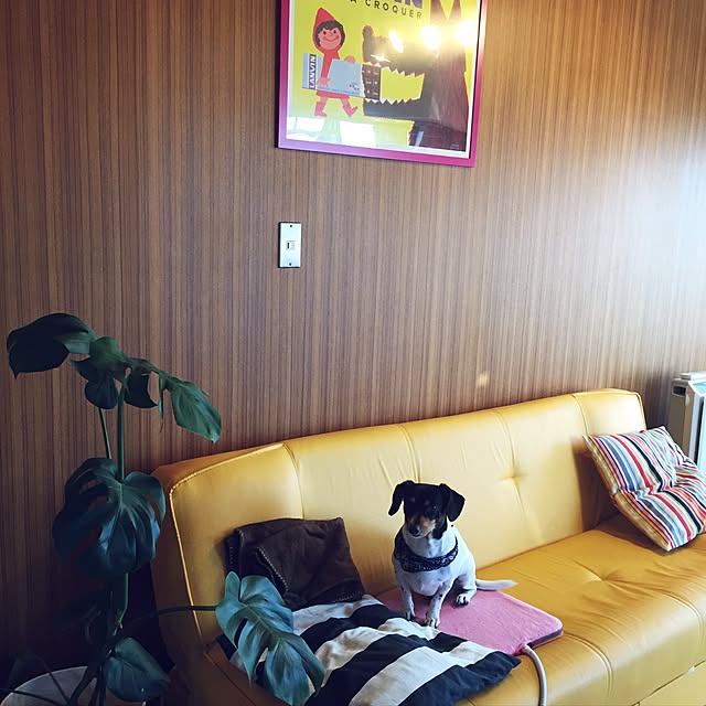 rie6480さんの実例写真