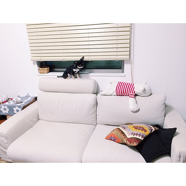 momoさんの実例写真