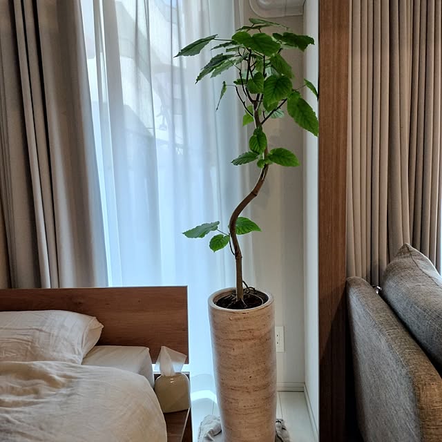 pyoin99さんの実例写真