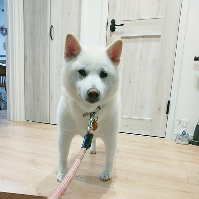 yukinkoさんの実例写真