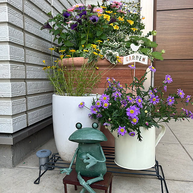 megmagさんの実例写真