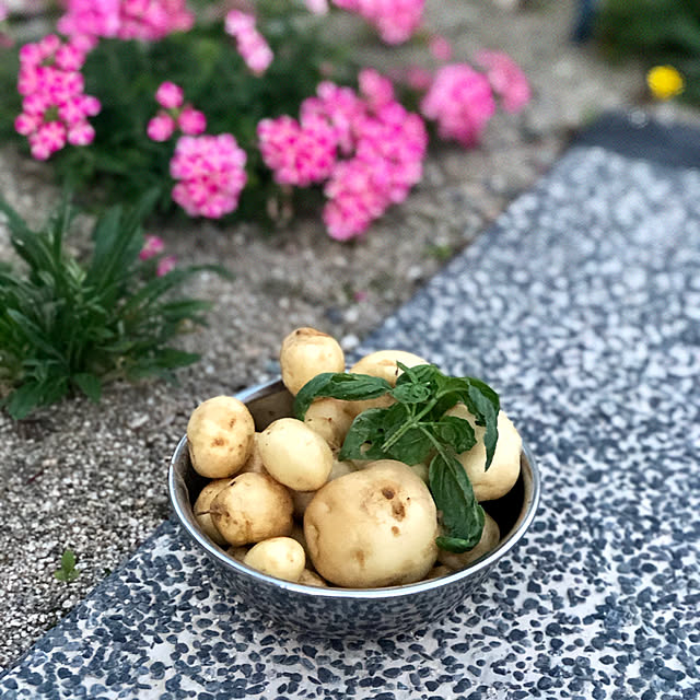 moppaさんの実例写真