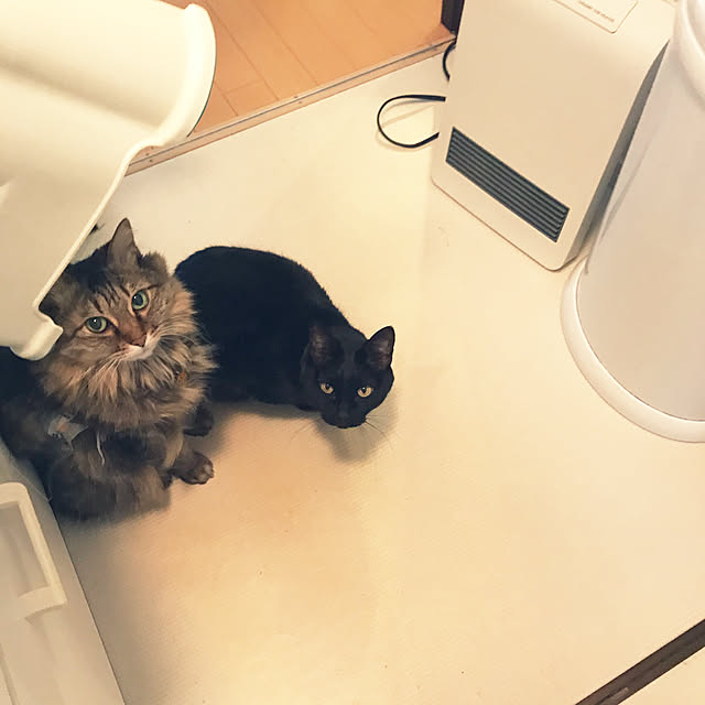 yuki0511さんの実例写真