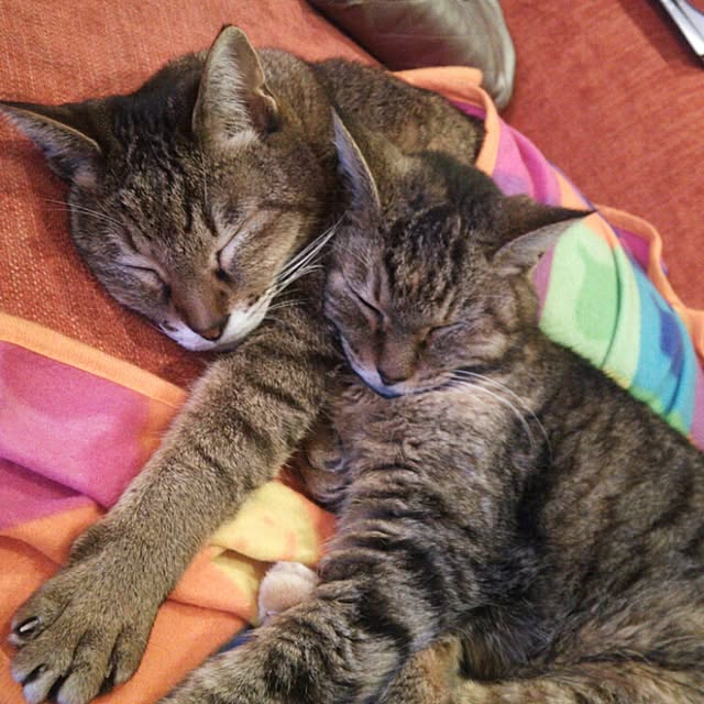 k.namiさんの実例写真
