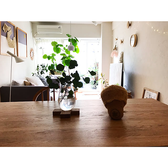 Hisayoさんの実例写真